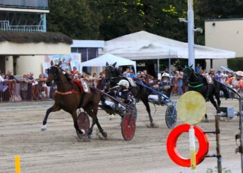 Trotto d’élite a Bologna col Gp Continentale
