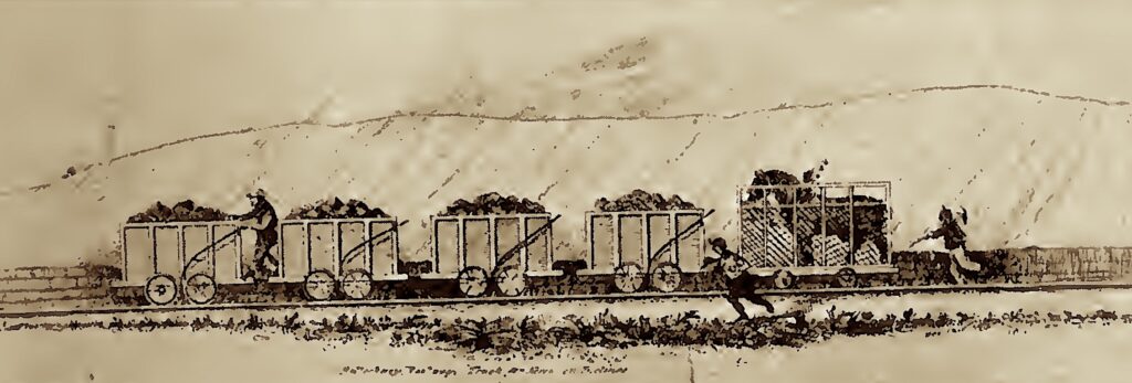 Screenshot Dandy cart 1024x347