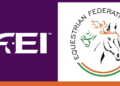 Fei vs Efi: lo strano caso degli indiani