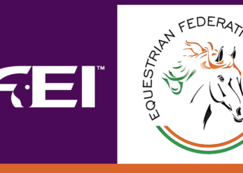 Fei vs Efi: lo strano caso degli indiani
