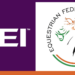 Fei vs Efi: lo strano caso degli indiani