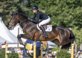 Lanaken: ecco i campioni del mondo tra i cavalli giovani