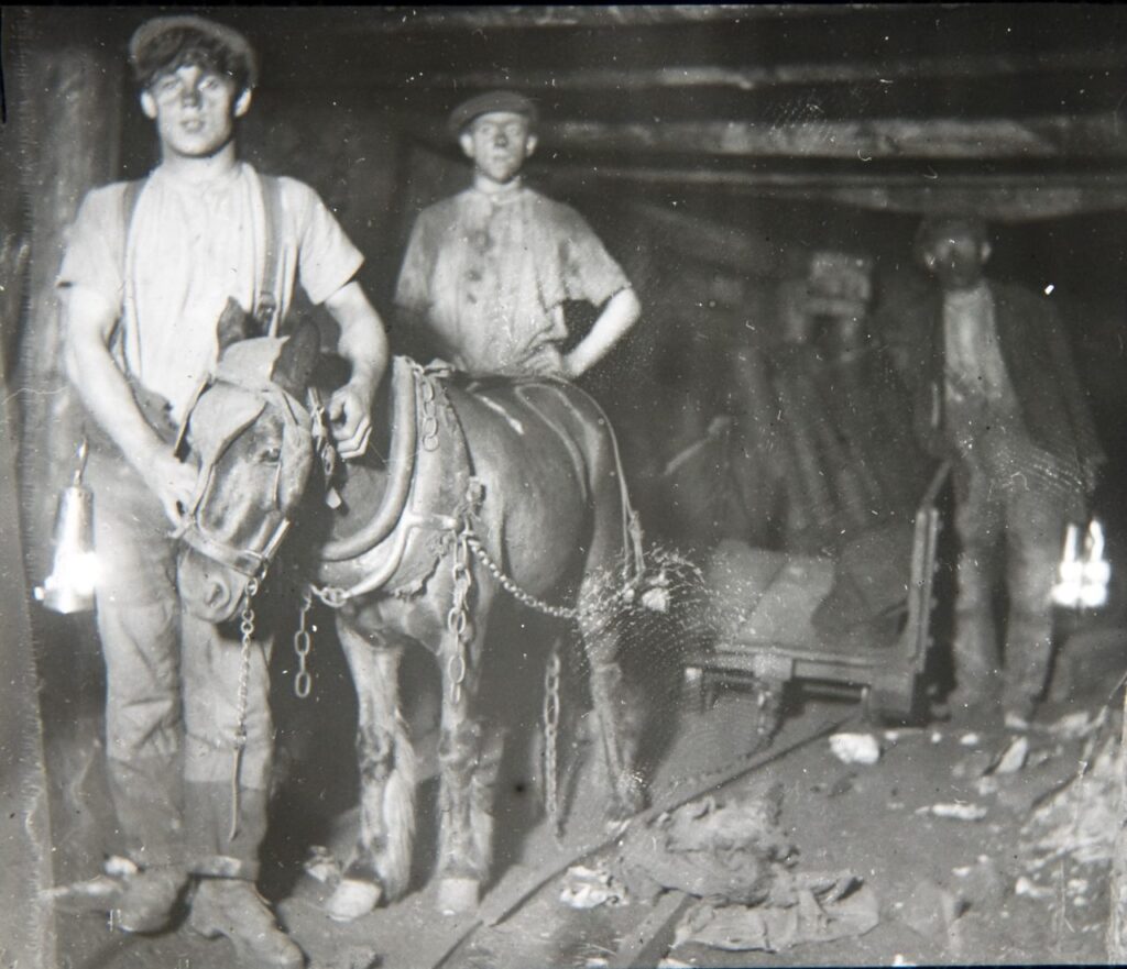 Ganger Lad with Little Tick, a pit pony at Brinsley Colliery, Nottinghamshire c1913. Photo Credit – Rev F.W. Cobb collection Ganger Lad with Little Tick a pit pony at Brinsley Colliery Nottinghamshire c1913. Photo Credit – Rev F.W. Cobb collection 1024x881
