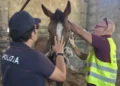 Catania: ancora fantasmi abusivi