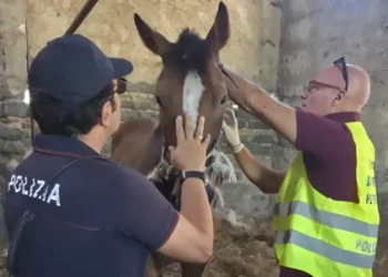 Catania: ancora fantasmi abusivi