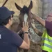 Catania: ancora fantasmi abusivi