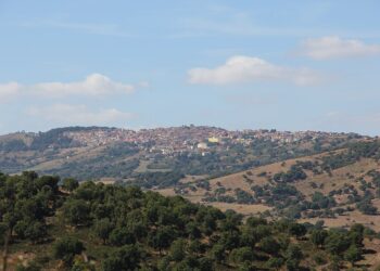 Pattada, ragazzo ricoverato dopo l’incidente con il suo cavallo