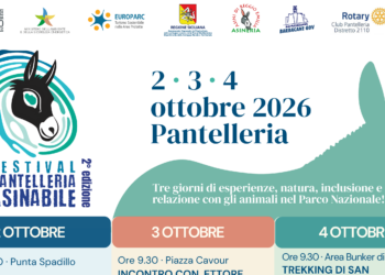 Ettore entra in Comune, e Pantelleria ritorna “Asinabile”