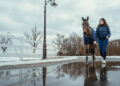 Samshield, l’eleganza dell’inverno