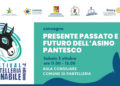 “Festival Pantelleria Asinabile”: al centro degli eventi il futuro e la tutela dell’asino pantesco