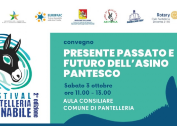 “Festival Pantelleria Asinabile”: al centro degli eventi il futuro e la tutela dell’asino pantesco