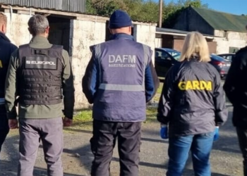 Traffico di cavalli: si indaga in Irlanda