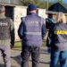 Traffico di cavalli: si indaga in Irlanda