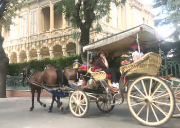 A Istanbul, i cavalli delle Isole dei Principi dopo le carrozze