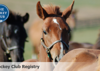 Us Jockey Club: cambiate i nomi a quei cavalli