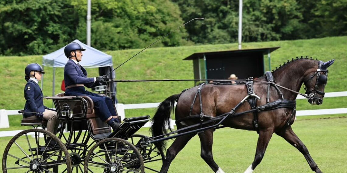 Cristiano Cividini alla guida di Ircolando B, detto Nando, durante una competizione internazionale di Attacchi singoli nell aprova di Dressage