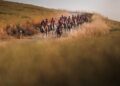 Un folto gruppo di amazzoni e cavalieri di Endurance percorre un sentiero sterrato tra le colline, sollevando polvere nell’erba illuminata dalla luce dorata