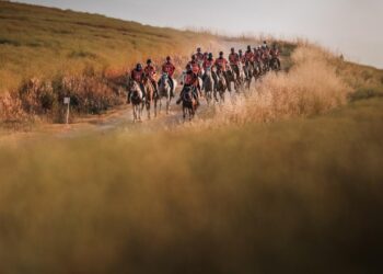 Un folto gruppo di amazzoni e cavalieri di Endurance percorre un sentiero sterrato tra le colline, sollevando polvere nell’erba illuminata dalla luce dorata