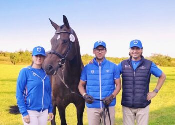 Mirko Cassotti, Justine e Oxbow, argento mondiale tra i giovani cavalli