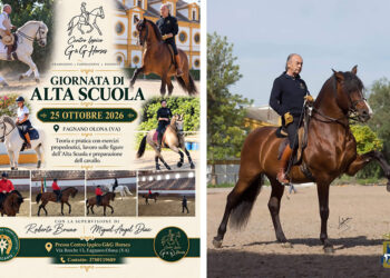 L’Alta Scuola sale in cattedra