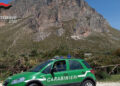 San Vito lo Capo: due cavalli in condizioni ‘non idonee’. Intervengono le autorità