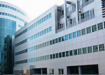 UniPg: il cavallo italiano tra ricerca e innovazione