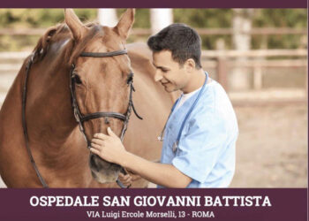 La salute guarda al futuro all’Ospedale San Giovanni Battista di Roma. E i cavalli ci sono
