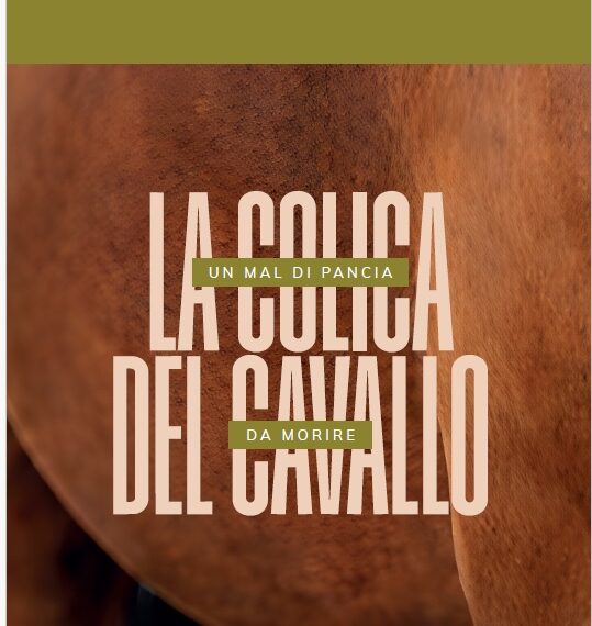 Coliche del cavallo: sintomi, prevenzione e falsi miti nel libro di Giovanni Biglietti