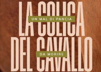 Coliche del cavallo: sintomi, prevenzione e falsi miti nel libro di Giovanni Biglietti