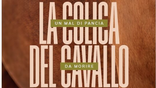 mal di pancia da morire e1788788651538