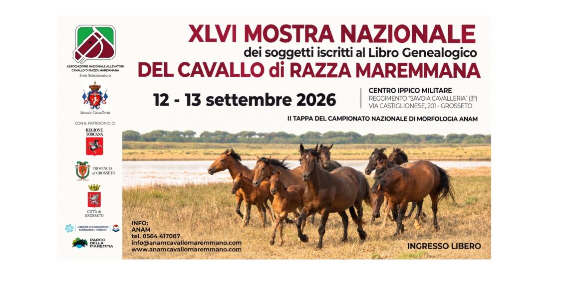 Con la XLVI Mostra Nazionale il Cavallo Maremmano torna al “Deposito”