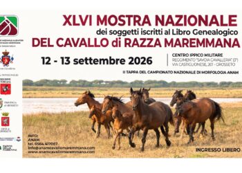 Con la XLVI Mostra Nazionale il Cavallo Maremmano torna al “Deposito”