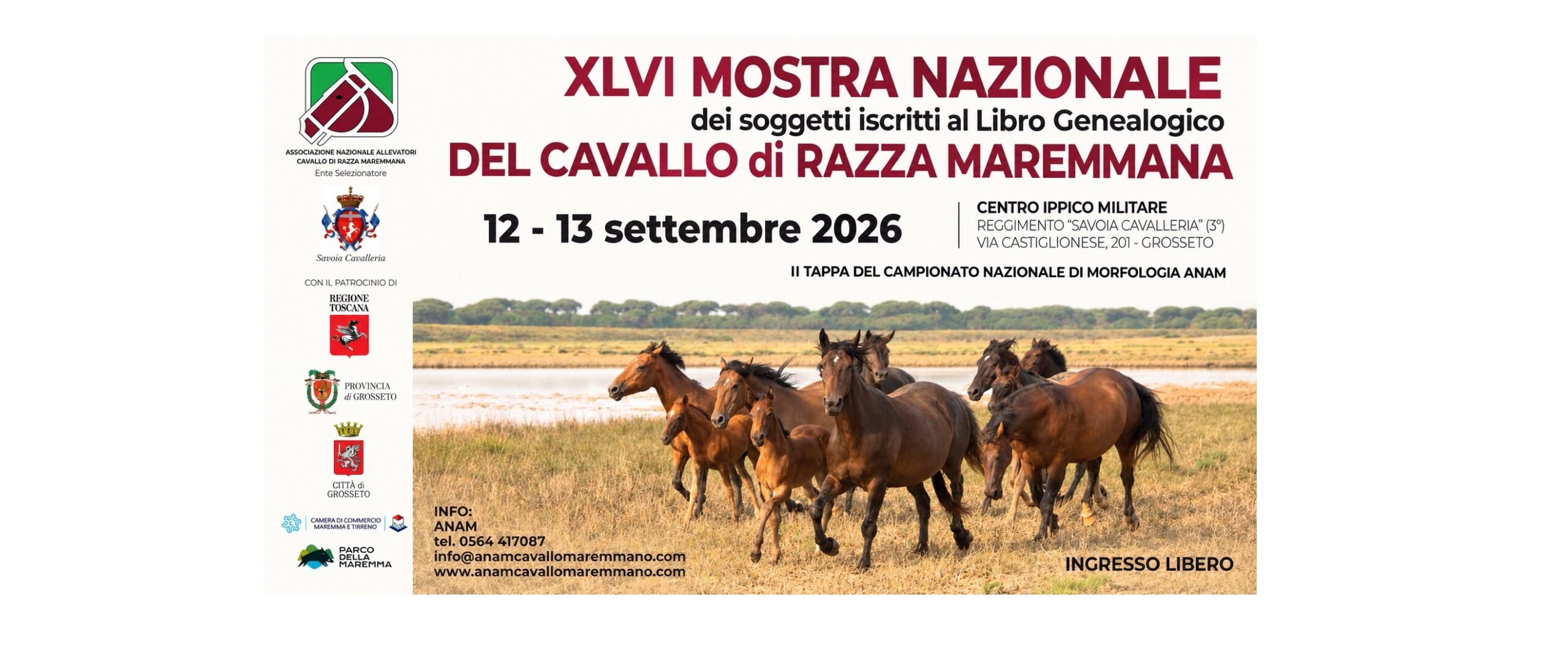 mostra maremmano 1 scaled