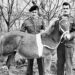 Un cavallo da portare a casa