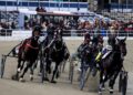 A Torino prove di Derby e Oaks