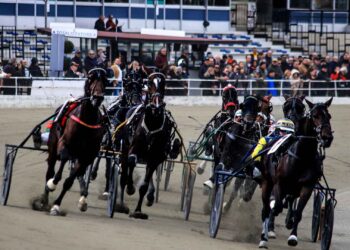 A Torino prove di Derby e Oaks