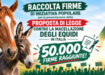 50mila firme contro la macellazione