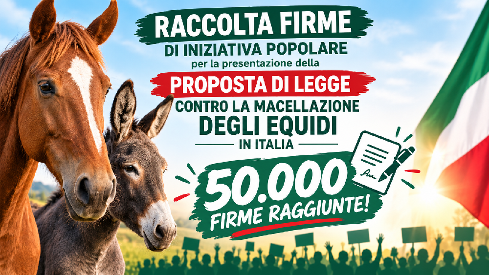 50.000 firme per gli equidi in Italia