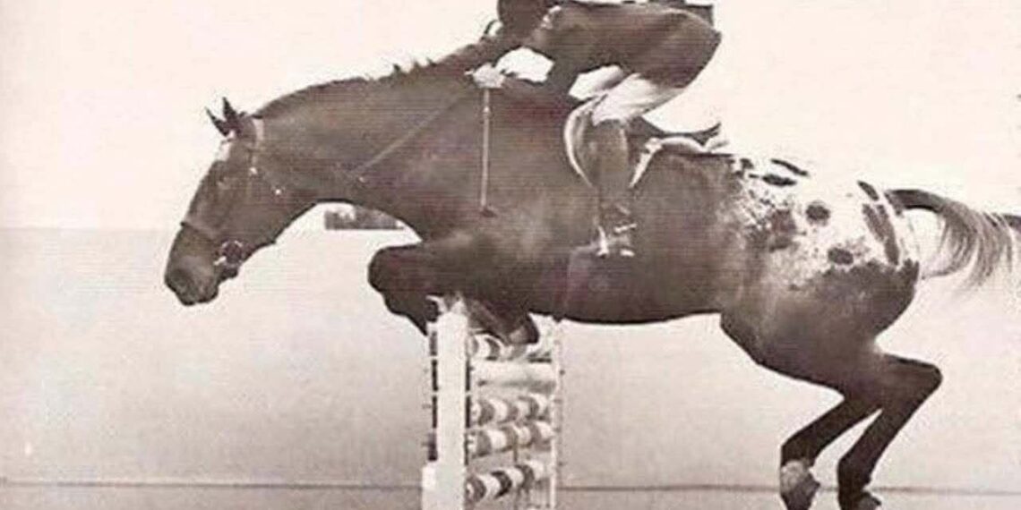 Crocodile e Twinkie Nissen a Indio nel 1969