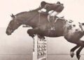 Crocodile e Twinkie Nissen a Indio nel 1969