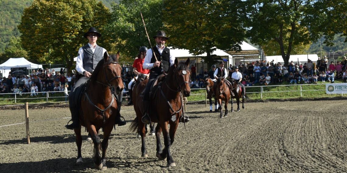Cavallo del Catria presentato alla rassegna della Fiera di Cantiano 2026
