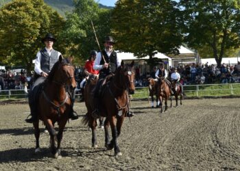 Cavallo del Catria presentato alla rassegna della Fiera di Cantiano 2026