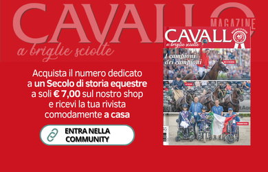 CM437 Banner sito