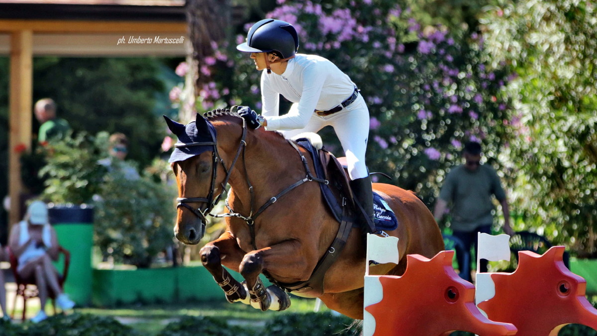 CSI Cervia Beatrice Guidi su Chippendel de la Tour OK