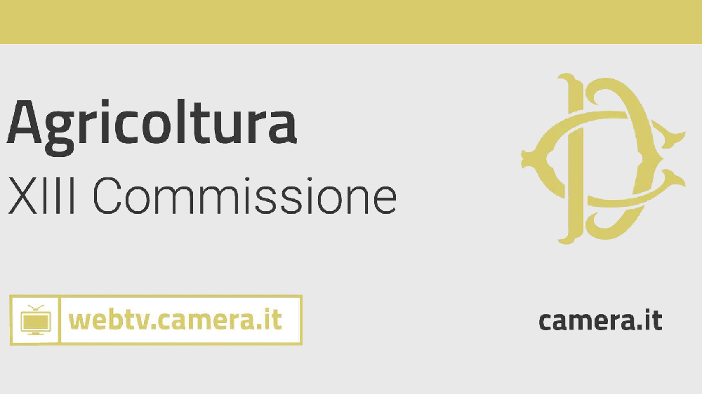 CameraAgricoltura