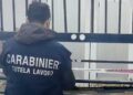 Calabria: la storia umana dietro lo sfruttamento a 2,45 Euro alll’ora