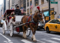 New York e Palermo archiviano le carrozze?