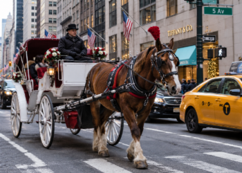 New York e Palermo archiviano le carrozze?