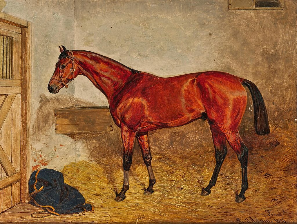 Emil_Adam_Fenek_1886 Emil Adam Fenek 1886 1024x773