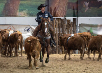 Westernshow: la cowboy culture prende vita